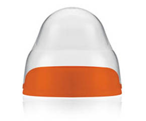 �����ǌ��ڏ���ƿ�w�Æ���