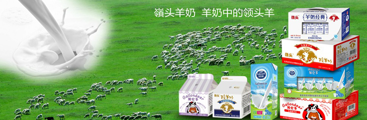 �X�^��������