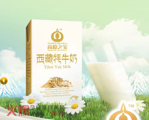 ��ԭ֮������ţ�̽����I(y��ng)�B(y��ng)������