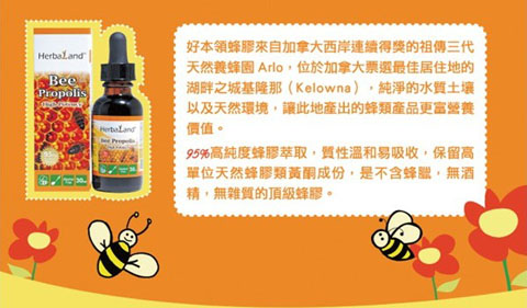 �ñ��I���z�΄�������