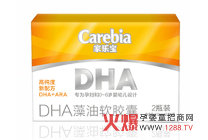 �Ҙ���DHA����ܛ�z��ȫ��(gu��)����