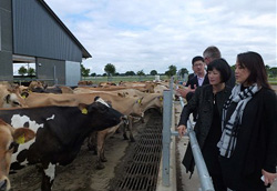 ��ţ��Դ���I(y��)���m�������������ӹ�