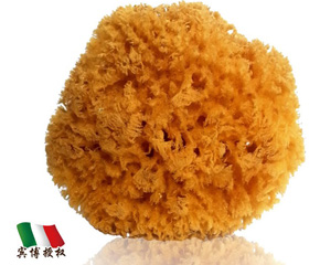 ��ɭ�Ơ���(zhu��n)ע����Ȼ���d�a(ch��n)Ʒ���^(gu��)һ��(g��)���o(j��)