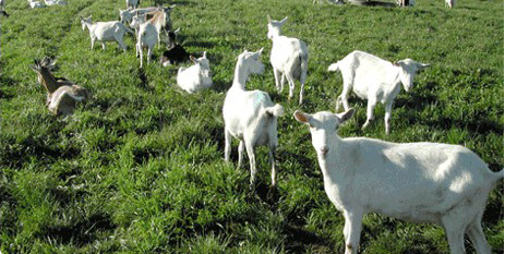 ����������Դ����������������������