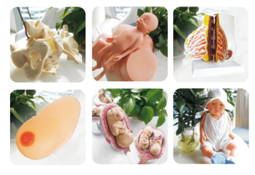 快樂孕育yunf學校教學用具