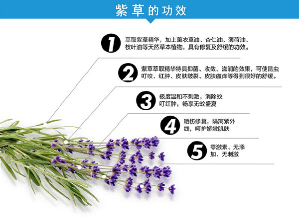 ��������yingye�ϲݸ�