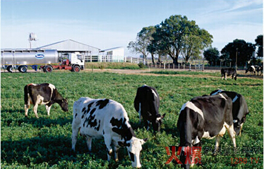 �����c��Դ��������