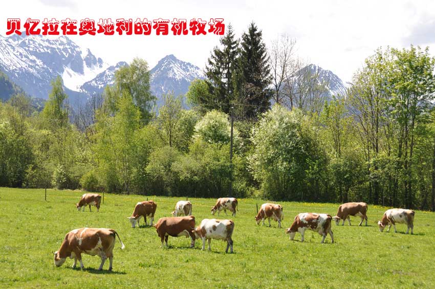 ؐ�|���ڊW�������ЙC(j��)����