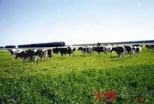 �����С���R���Կ������J(r��n)�O(ji��n)ί���x����������ЙCʳƷ��(bi��o)��(zh��n)��