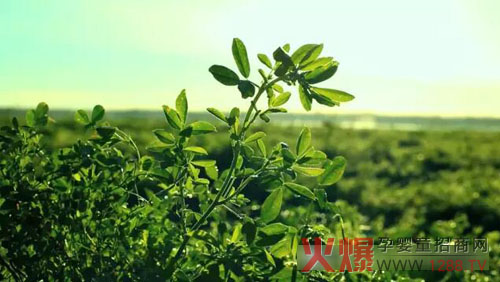 �xɽţ�̟���ӛ�������������� �����֎ײ���