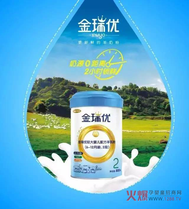 ���̷�+OPO�����ж����