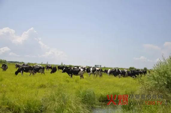 ���_ɽ�̷۞�Ε��ܵ��@ô���˵�ϲ����