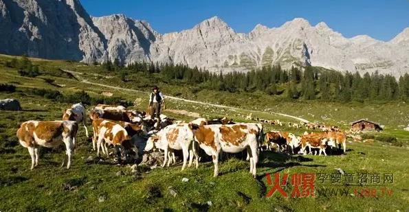 �ɰż{�ЙC�̷� �ķ��ЙC�J(r��n)�CƷ�|(zh��)����