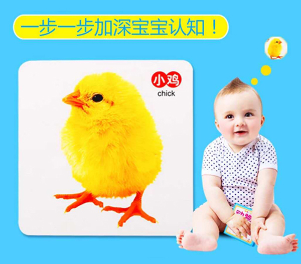 滋朵認知啟蒙卡