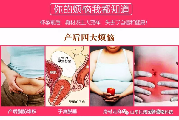蒂秀收腹帶.jpg