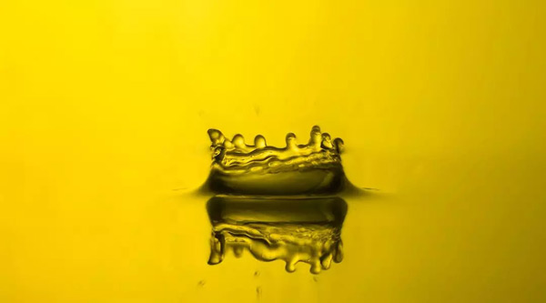 海藻油.jpg 海藻油.jpg