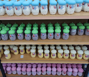  �߶���С��ʳ��ЈD22