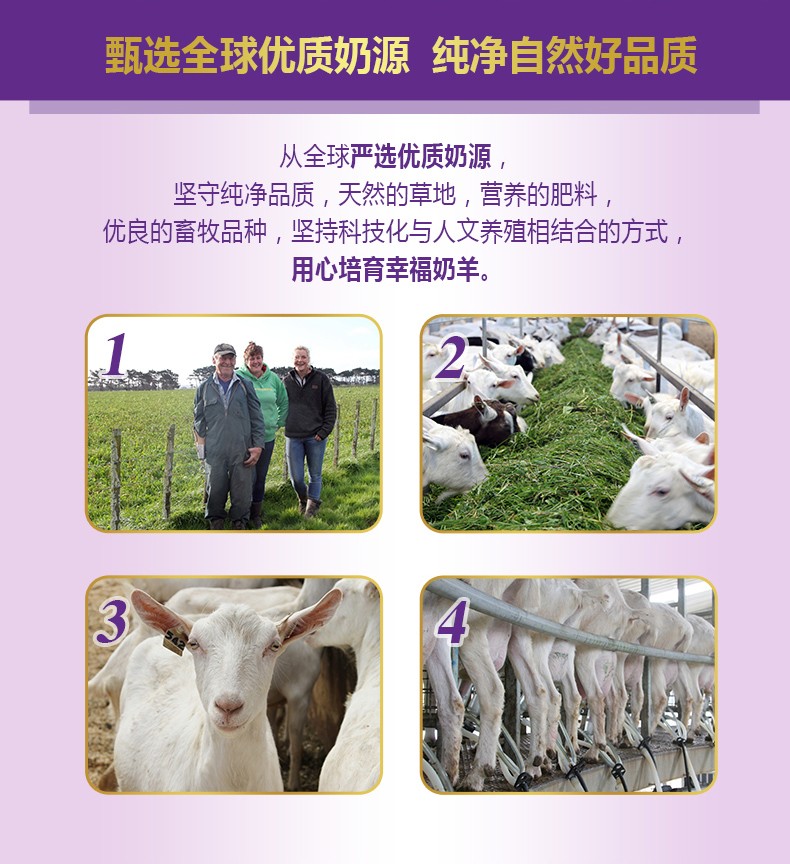  �����׃��䷽���̷ۣ�12-36���g��3�Σ�_03