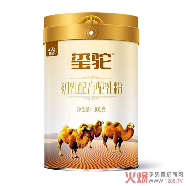 2020�Ă�(g��)���ӵ��̷ۺ��u��׌�t����۽o��𰸣�