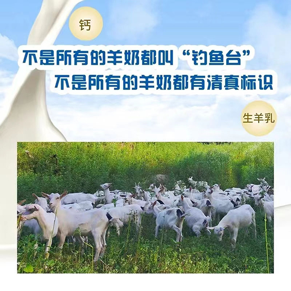 陜西省乳品工業(yè)協(xié)會副秘書長張琦為釣魚臺羊奶點(diǎn)贊4.jpg 陜西省乳品工業(yè)協(xié)會副秘書長張琦為釣魚臺羊奶點(diǎn)贊4.jpg