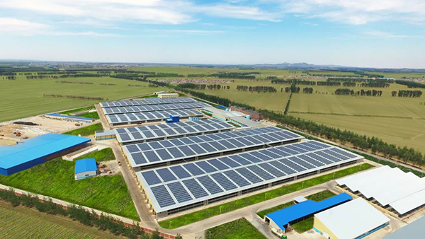 Խ���xɽ�����Ї�(gu��)�r(n��ng)����I(y��)(li��n)�� �˄�(sh��)�������Ƹ��|(zh��)���l(f��)չ6.jpg