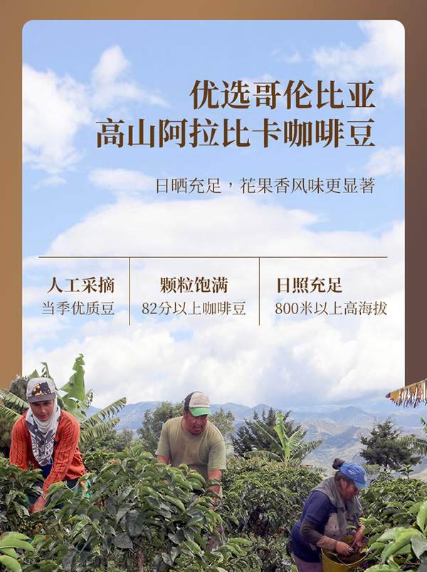 媽媽必慧龍益生菌掛耳咖啡詳情 (4).jpg