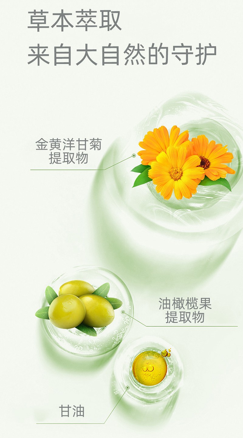 紫嬰童草yinge橄欖潤膚乳詳情圖_10.jpg