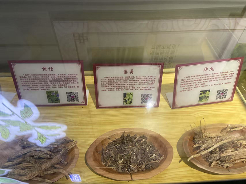 學習苗藥知識.jpg 學習苗藥知識.jpg