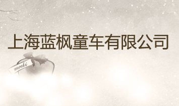 �Ϻ��{��ͯ܇���޹�˾