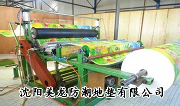 ɽ�|̩ɽ�����z��Ʒ���޹�˾