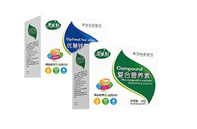 ��(��i)�׿ƠI(y��ng)�B(y��ng)��