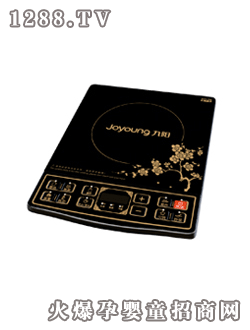 ���(y��ng)늴ŠtJYC-21DS29