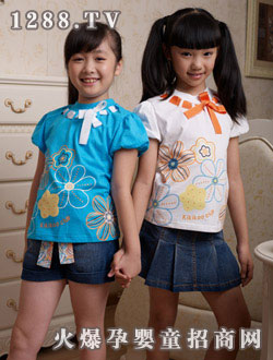 �����(k��)2010���Ŀɐ�ȹ�b