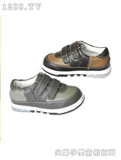 �t�������e�\(y��n)��(d��ng)Ь