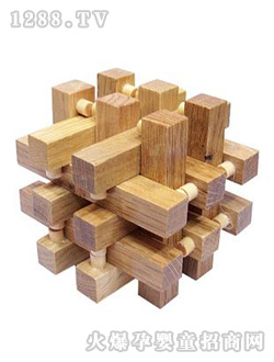 �A���Aʮ�˷��i�����zľ��