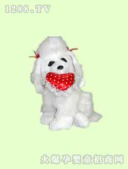 ���ӌ��ɐ۹�