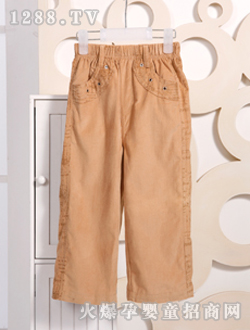 �������Sɫ���L(zh��ng)ѝ