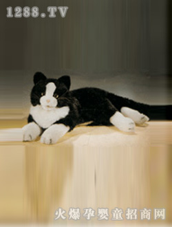 ����С؈ë�q���