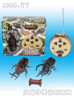 ���������b�ؼ��x