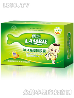 ����DHA����ܛ�z��