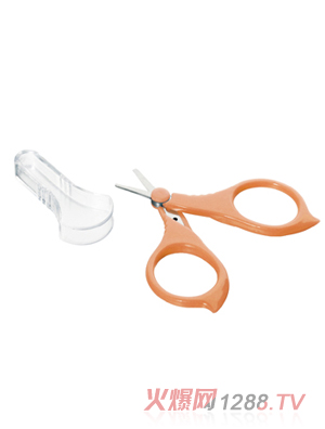 �w���Ȱ�ȫָ�׼�