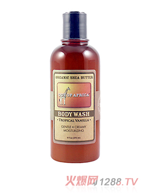 ��ľ����ԡ¶ ���