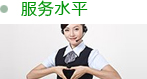 服務(wù)水平